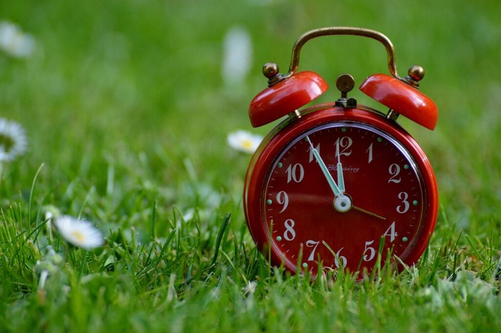 Close-up of red old-fashioned alarm clock in green meadow