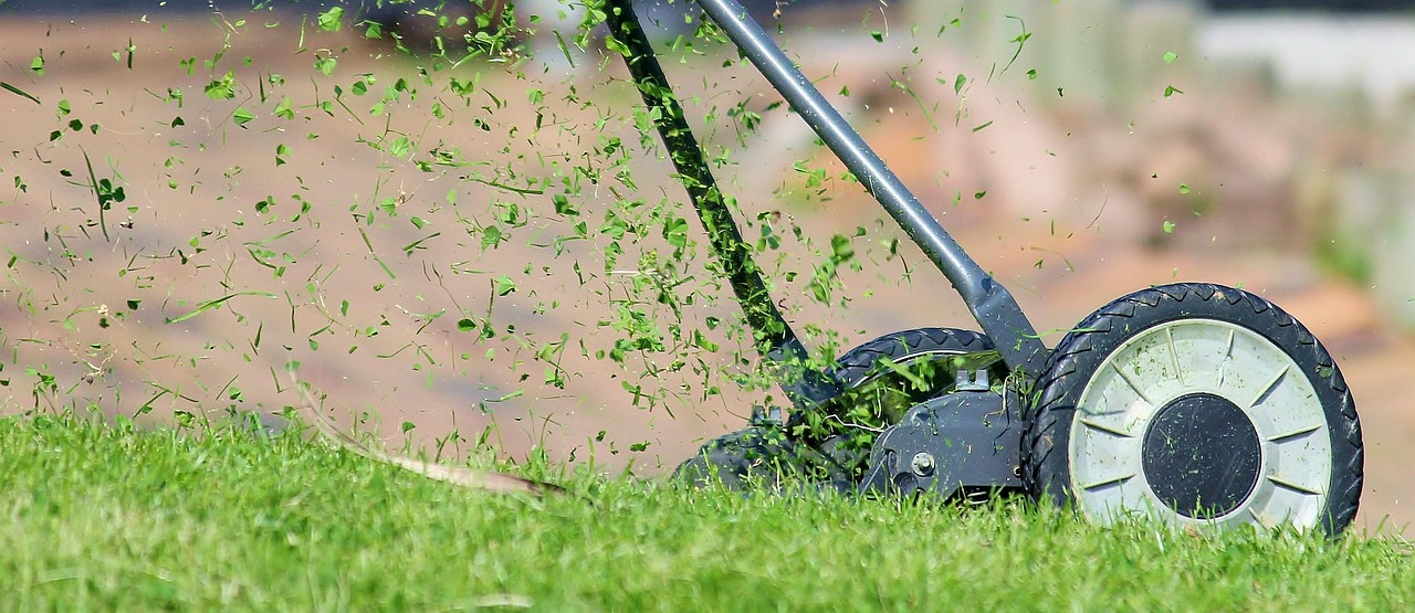 Close-up of reel mower in action cutting grass.