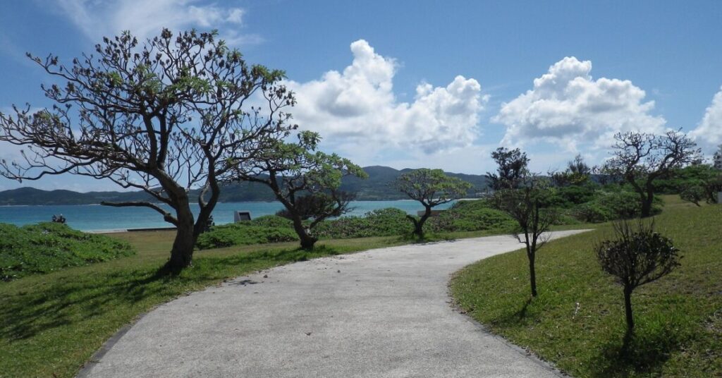 Okinawa nature trail along trees and water